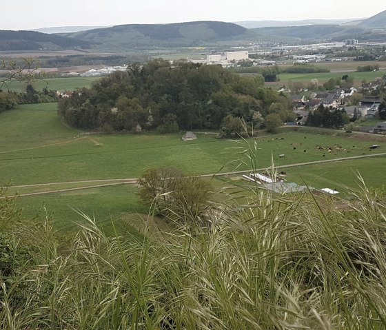 Lüxeberg, © Tourist Information Wittlich Stadt & Land