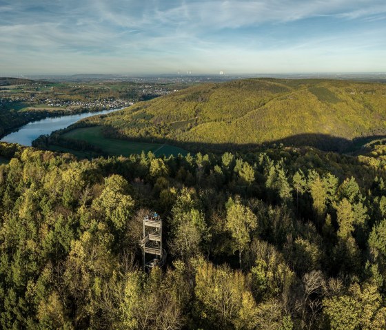 Krawutschketurm im Wald, © Eifel Tourismus GmbH, Dominik Ketz
