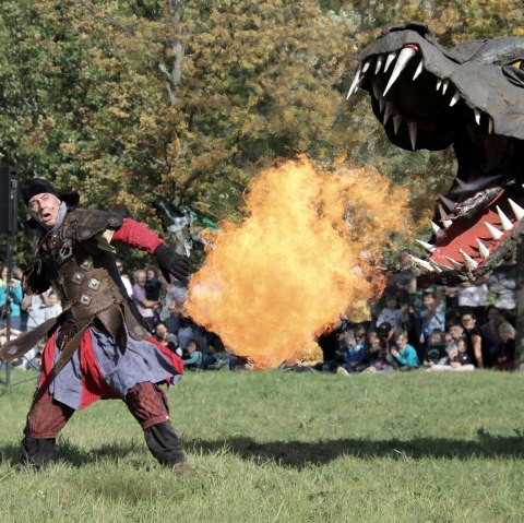 Drachenfest Seepark Zülpich 2022, © Seepark Zülpich