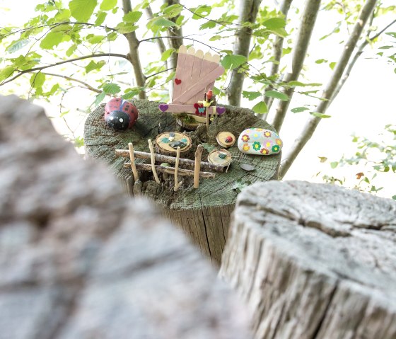 Discover elf houses on the elf trail/jungle trail, © Eifel Tourismus GmbH, AR-shapefruitAG