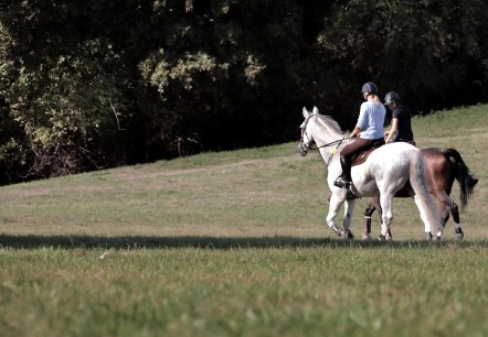 reiten, © Nordeifel Tourismus Gmbh