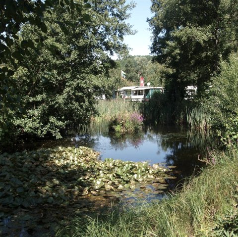 Teich am Campingplatz, © Campingplatz Felsenblick