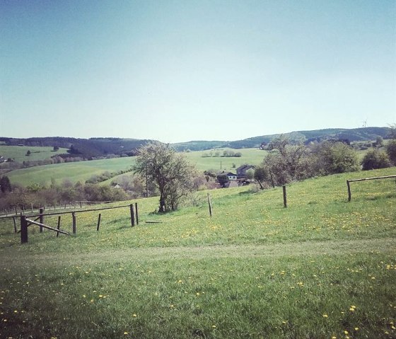 Ausblick, © Nordeifel Tourismus GmbH & Ferienwohnung Zur schönen Aussicht