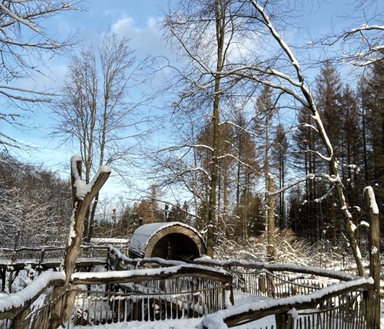 Schneespaß am Wilden Kermeter