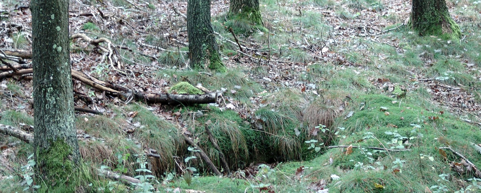 Alter Schützengraben am Wegesrand, © Bert van London