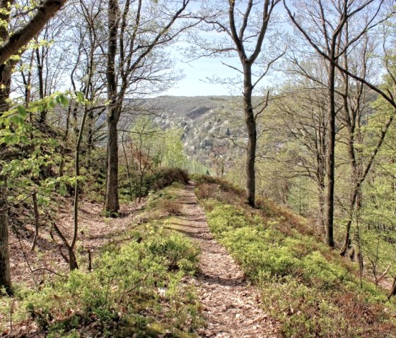 Auf dem Hundsleyweg