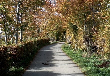 Wandertour Heckenlandroute, © Monschauer Land