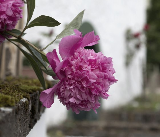 Detail_outside, © Nordeifel Tourismus GmbH & Zum goldenen Schaf