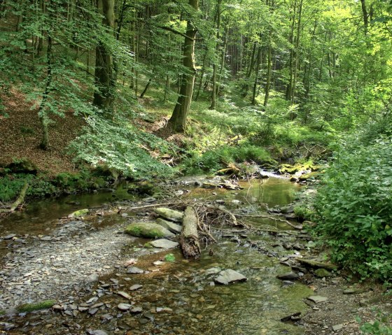 Desert stream