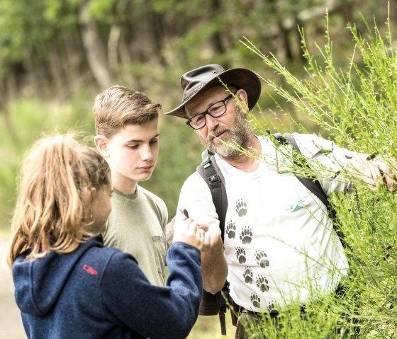 Familientour mit Waldführer