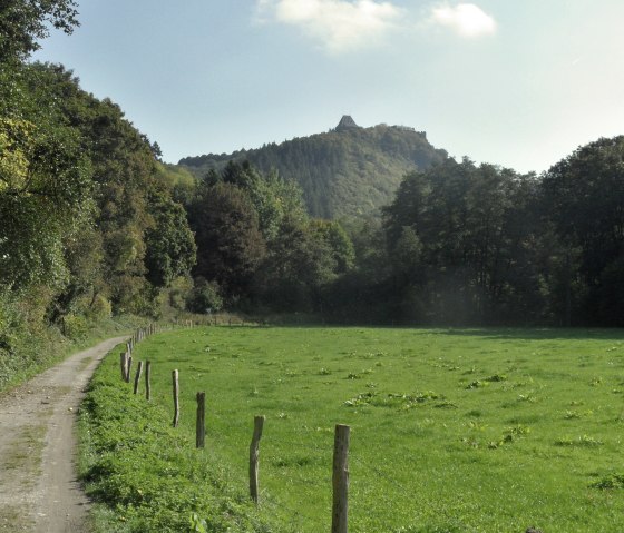 Blick auf die Burg Nideggen, © Karl-Heinz Rosenzweig, Der-eifelyeti.de, © Der-eifelyeti.de