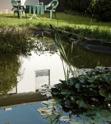 Teich, © Helmut Murk